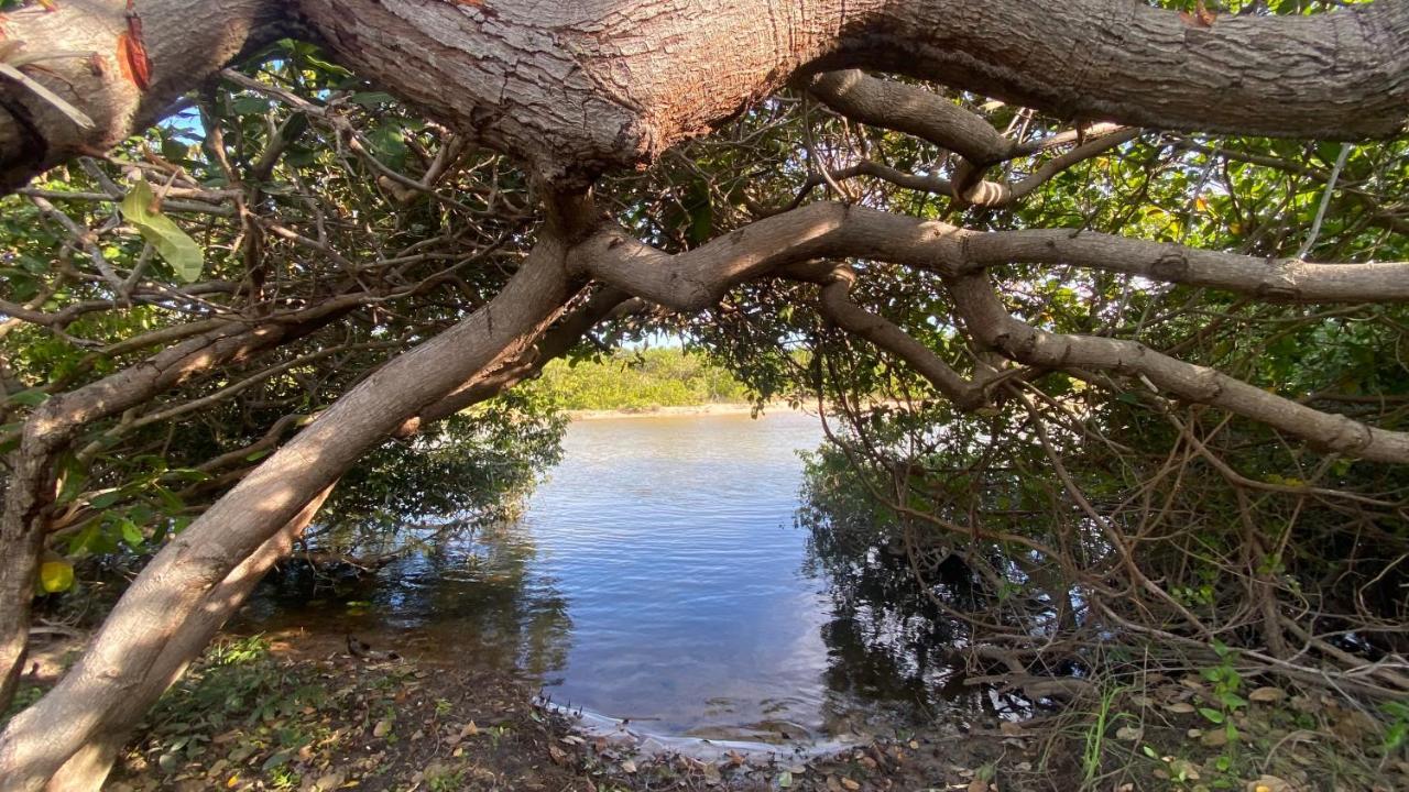 Vila Morada Venturi Atins Exteriér fotografie